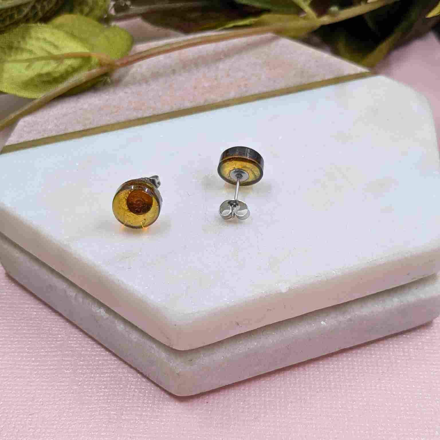 Pair of Bridget Tortoiseshell Small Resin Stud Earrings - Stainless Steel Back View